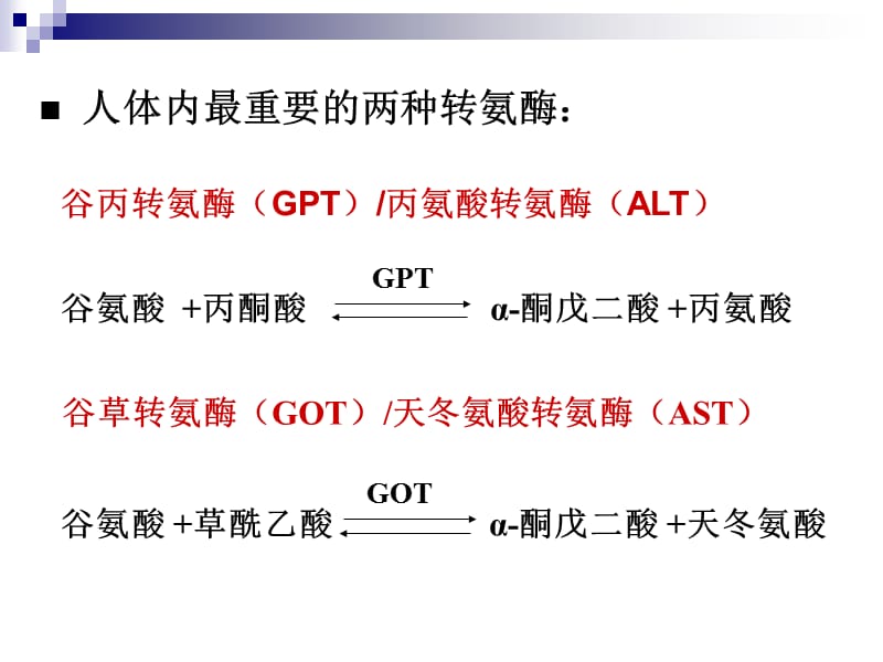 实验四肌肉组织氨基移换作用---纸层析-精选文档.ppt_第3页