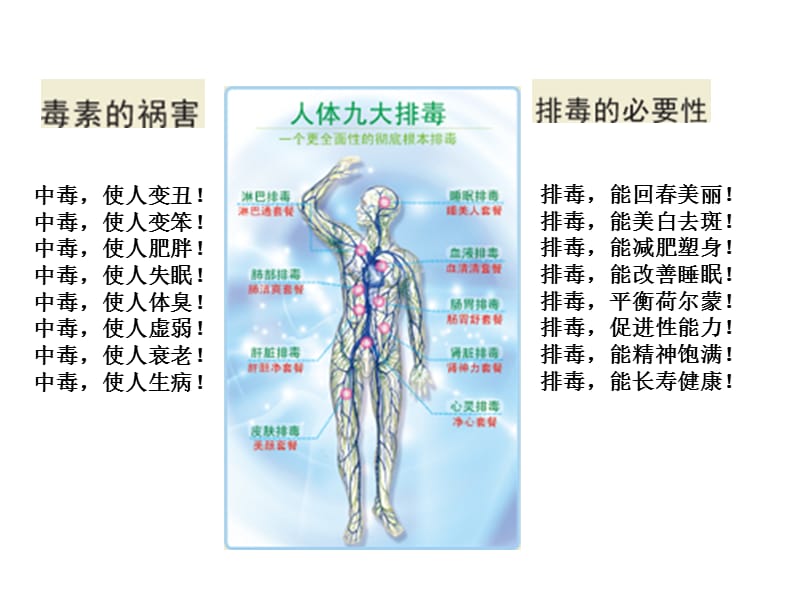 最新：肝胆肠排毒课件ppt课件-文档资料.ppt_第2页