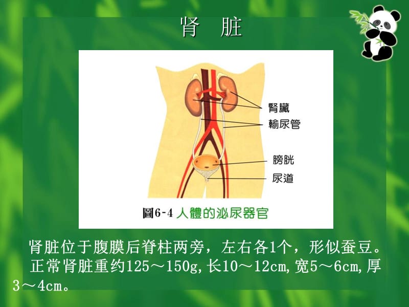 慢性肾脏病-文档资料.ppt_第1页