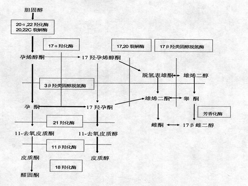 最新：医学女性生殖内分泌激素测定及临床评价-文档资料.ppt_第3页