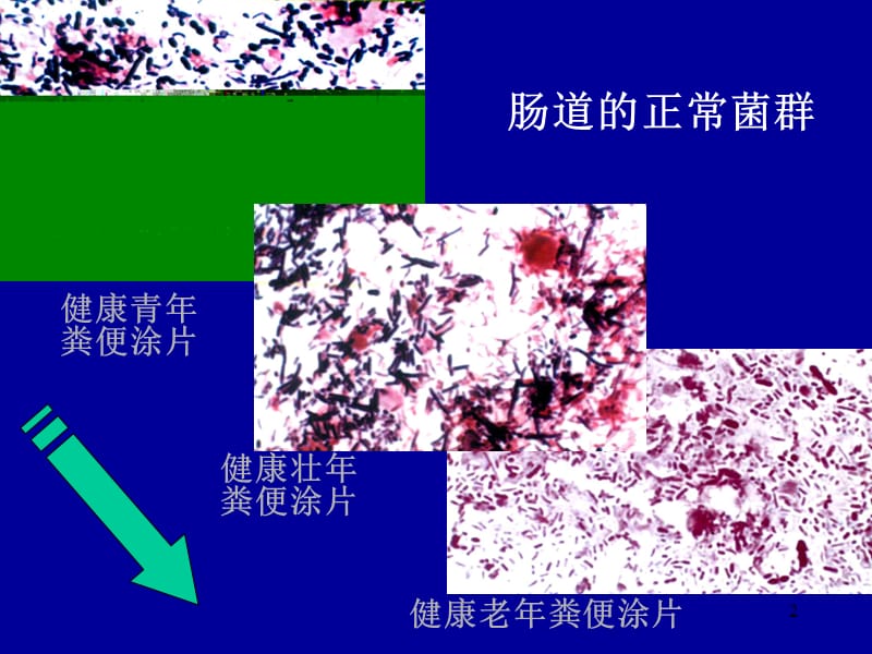 最新：微生物学第6章医学微生物学与医院内感染-文档资料.ppt_第2页