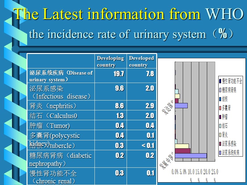 最新：肾脏排泄-文档资料.ppt_第1页