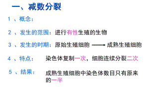 必修1减数分裂与有性生殖细胞的形成,精子和卵细胞的形成过程-课件-PPT文档.ppt