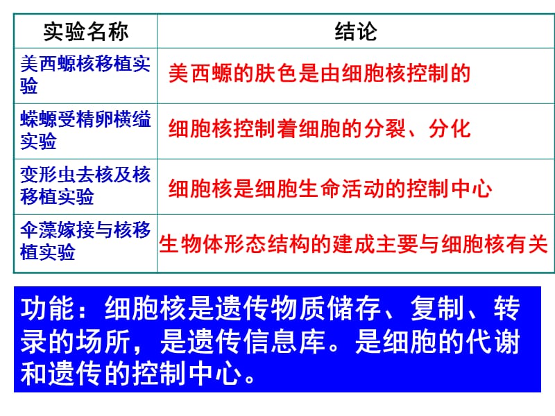 最新：笔记： 第三节 细胞核2012-文档资料.ppt_第1页