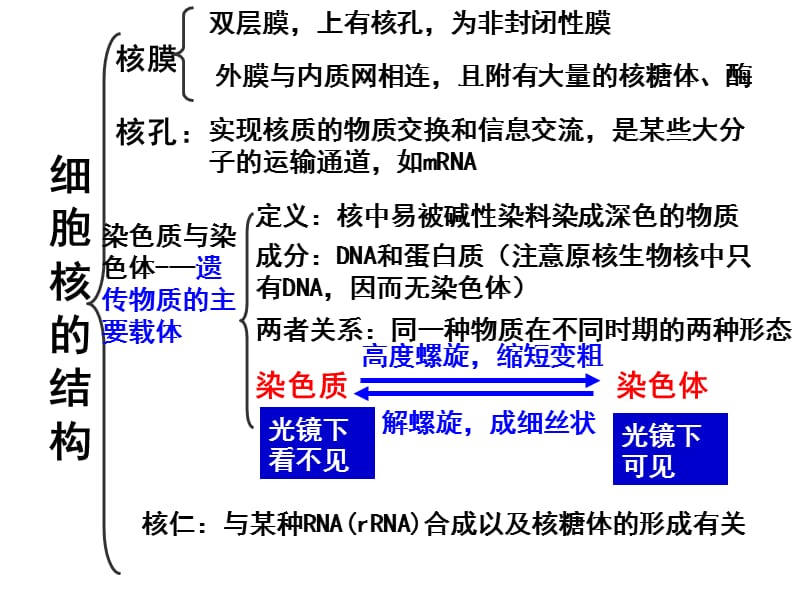 最新：笔记： 第三节 细胞核2012-文档资料.ppt_第2页