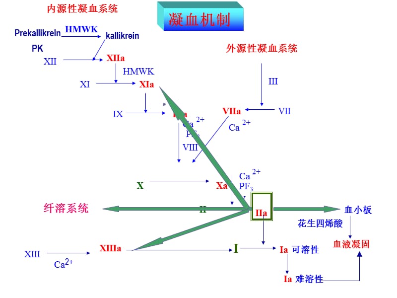 影响血液及造血系统的药物-PPT文档.ppt_第2页