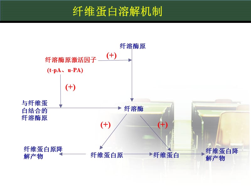 影响血液及造血系统的药物-PPT文档.ppt_第3页