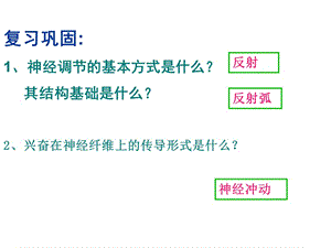 生物：21《通过神经系统的调节》新人教版必修3-PPT文档.ppt