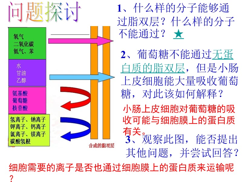 物质跨膜运输方式（讲课用）.ppt_第2页