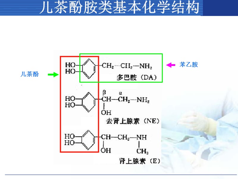 最新10肾上腺素激动药-PPT文档.ppt_第1页