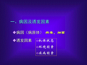 急性上呼吸道感染急性支气管炎-文档资料.ppt