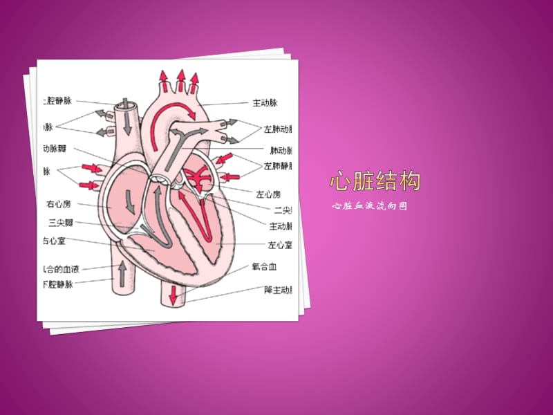 慢性心肌缺血综合症的护理-文档资料.pptx_第1页