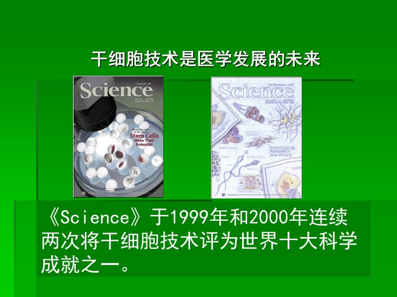 干细胞移植在糖尿病治疗上的应用-文档资料.ppt_第3页