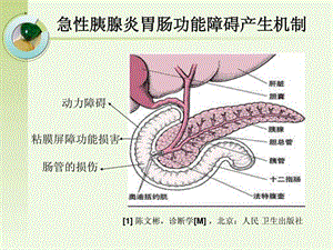 最新：急性胰腺炎辅以大黄和芒硝的治疗.ppt-文档资料.ppt