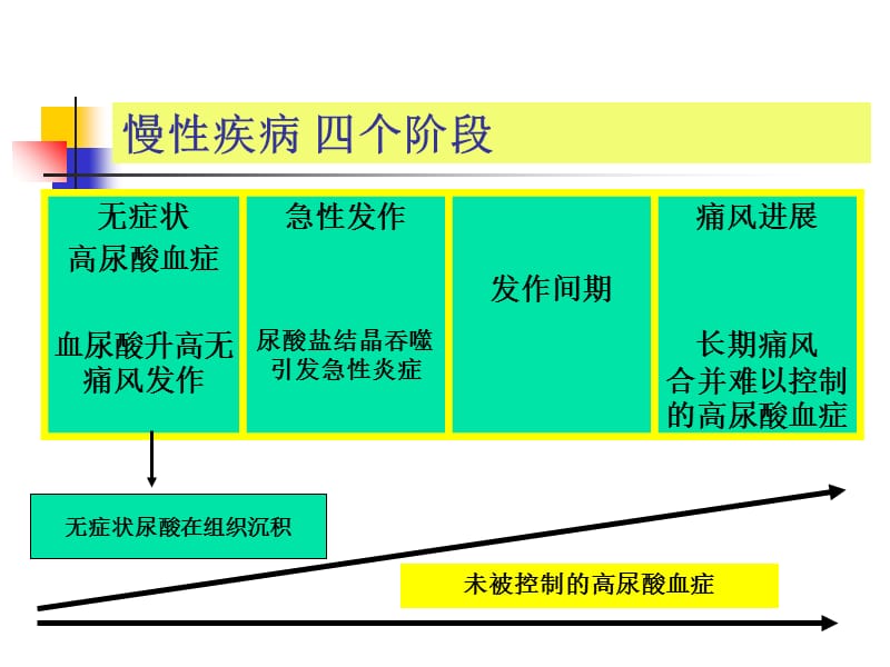 合理诊治痛风性关节炎的探讨课件-文档资料.ppt_第3页