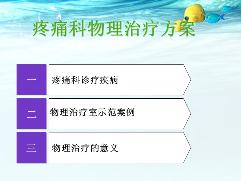 疼痛科物理治疗方案-文档资料.ppt_第1页