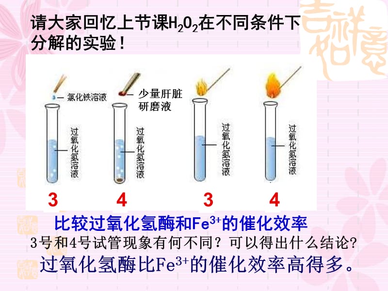 最新：第五章细胞的能量供应和利用-文档资料.ppt_第1页