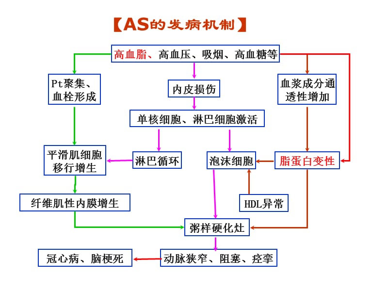 抗动脉粥样硬化药-PPT文档资料.ppt_第3页