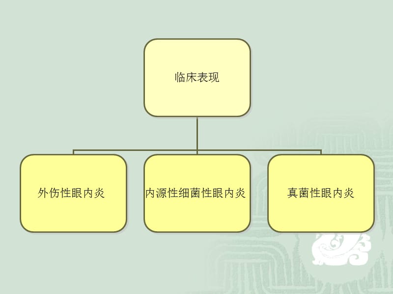 最新：眼内炎患者的疾病-文档资料.ppt_第3页