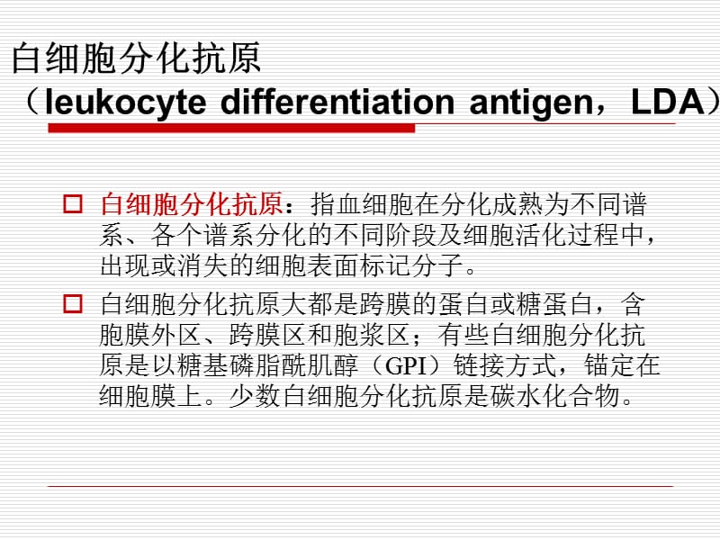 最新：白细胞分化抗原ppt课件-文档资料.ppt_第3页