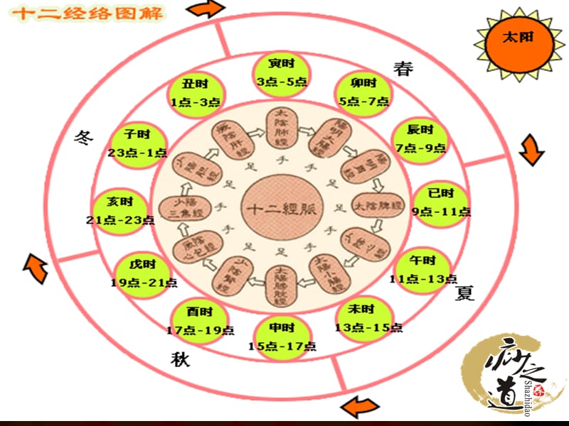 最新：中医经络养之十二时辰养生课件-文档资料.ppt_第1页