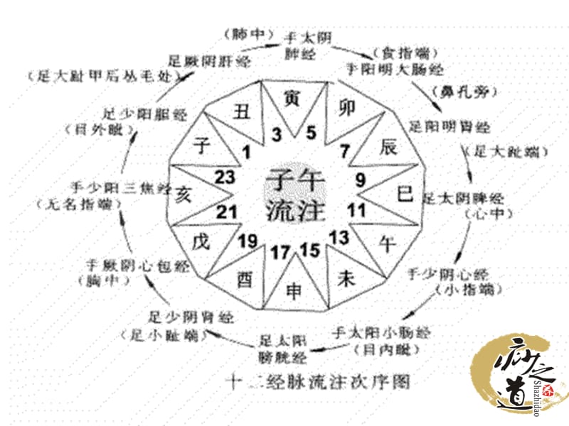 最新：中医经络养之十二时辰养生课件-文档资料.ppt_第2页