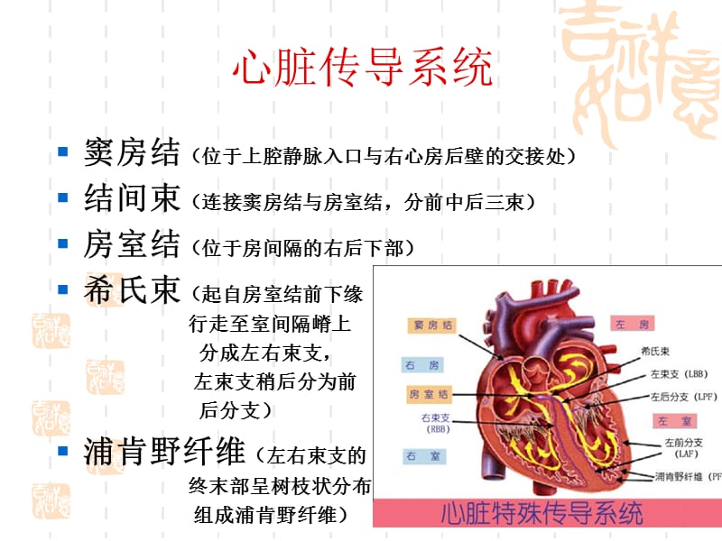 心脏传导阻滞及麻醉处理王明德-PPT文档.ppt_第1页