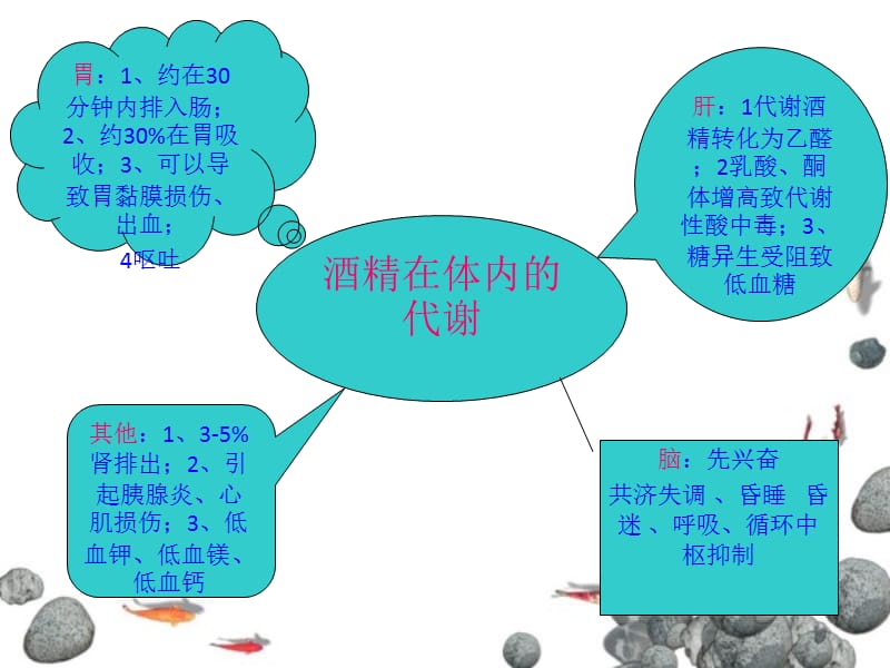 最新：机能学实验设计：不同方法对急性酒精中毒解救的比较-文档资料.ppt_第3页