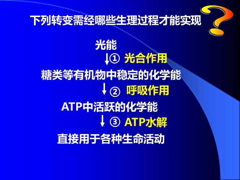 第3节细胞呼吸作用-精选文档.ppt_第1页