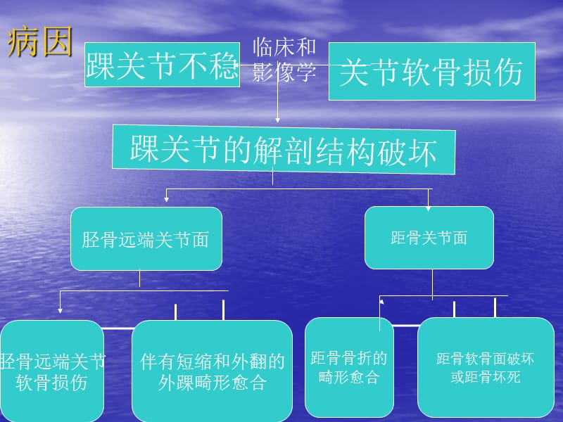 最新：全踝关节置换术ppt课件-文档资料.ppt_第3页