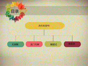 最新：全自动电脑洗车机新款大全-文档资料.ppt