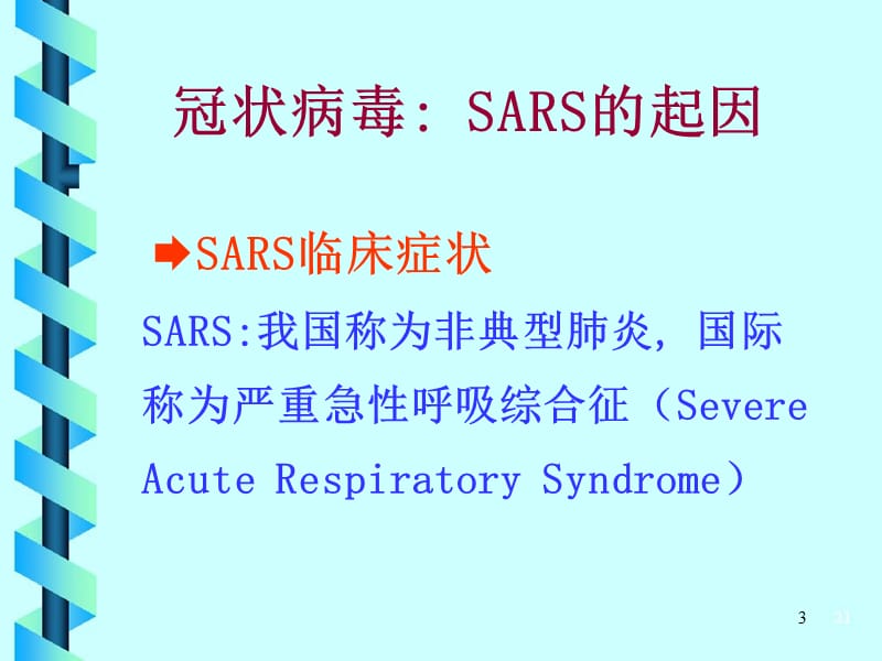 最新：冠状病毒 SARS起因-文档资料.ppt_第3页