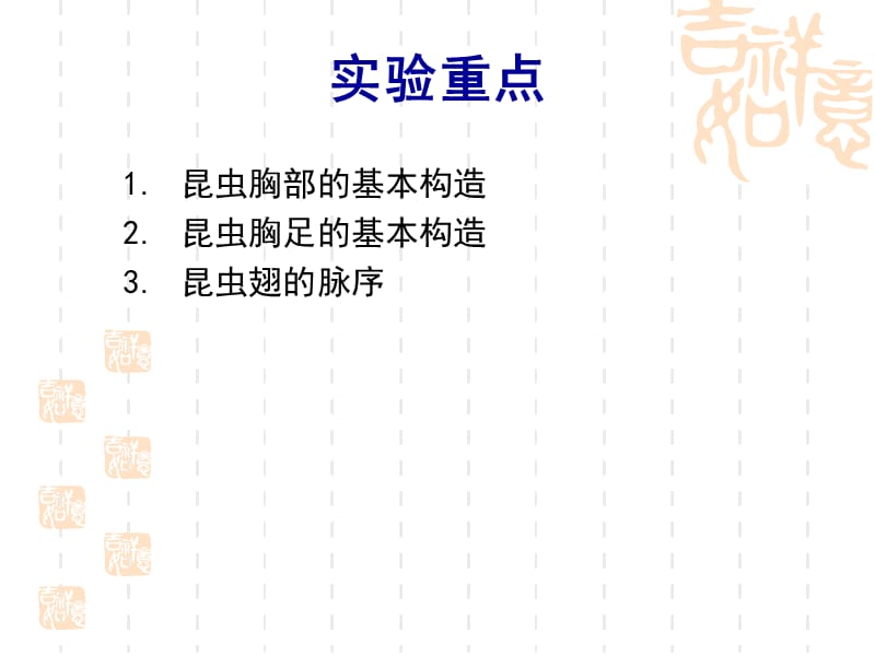 实验2昆虫的胸部-PPT文档.ppt_第2页