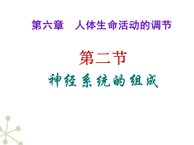 最新：神经系统的组成-文档资料.ppt_第1页