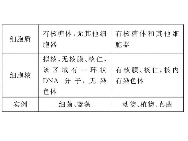 真核细胞与原核细胞-PPT文档.ppt_第1页