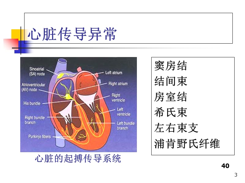 最新：心电图-心律失常课件-文档资料.ppt_第3页