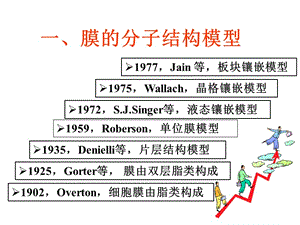 最新：第二细胞膜的分子结构-文档资料.ppt