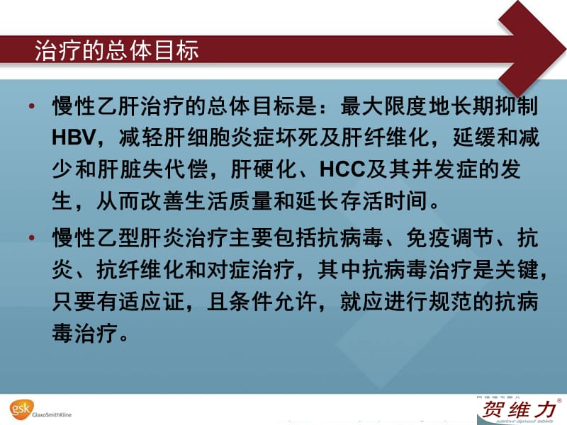 最新：慢乙肝中国防治指南-文档资料.ppt_第3页