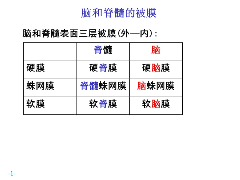 .脑和脊髓的被膜、血管及脑脊液循环(2007)-PPT文档资料.ppt_第1页