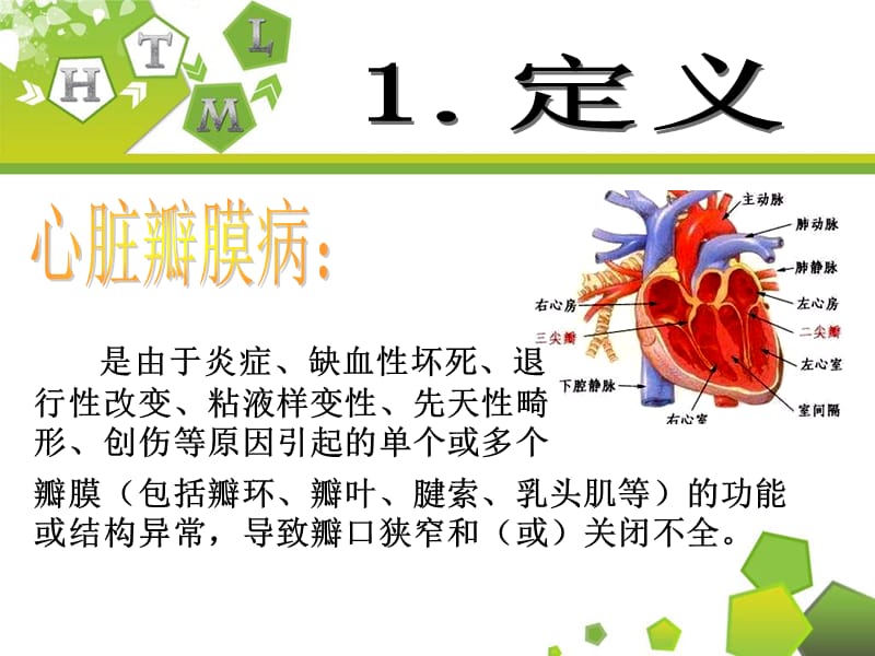 最新主动脉瓣关闭不全的护理-PPT文档.ppt_第2页