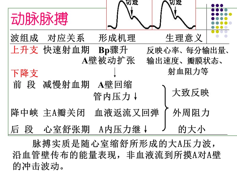 本科-血管检查---心脏疾病体征-PPT文档资料.ppt_第3页