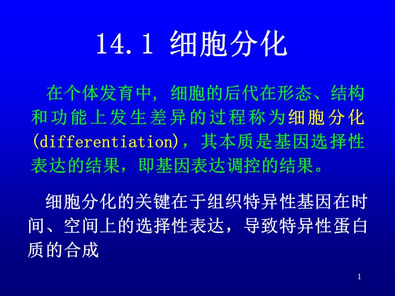 最新第14章细胞分化与基因表达调控-PPT文档.ppt_第1页