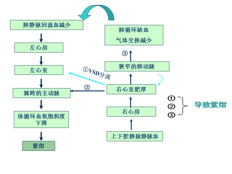 最新法洛氏四联症术后护理常规-PPT文档.ppt_第3页