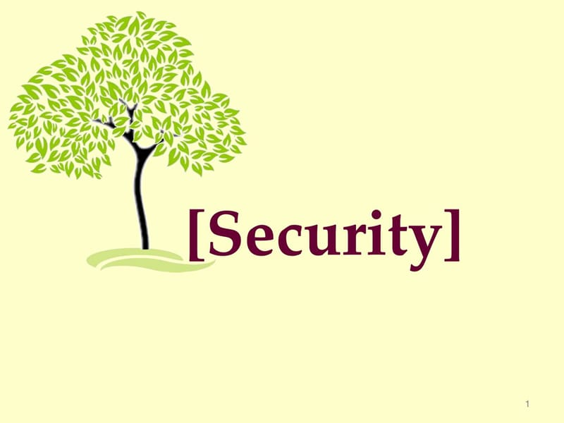 security and safety英语演讲PPT图文.ppt21.ppt_第1页