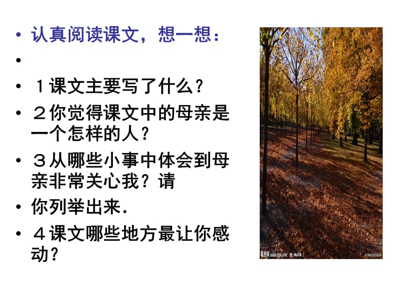 秋天的怀念 (2).ppt_第2页