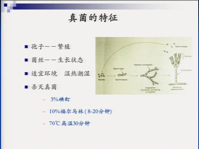 最新：臧洪瑞-鼻窦侵袭性真菌病的诊断与治疗-文档资料.ppt_第2页