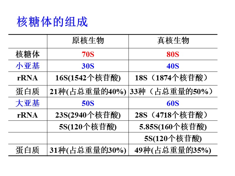 最新ch2生命活动基本单位-细胞-3-PPT文档.ppt_第1页