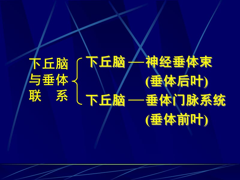 11-2_下丘脑与垂体的内分泌-PPT课件.ppt_第1页