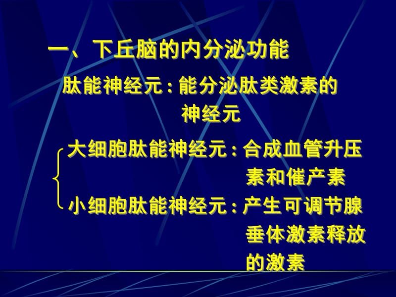 11-2_下丘脑与垂体的内分泌-PPT课件.ppt_第3页