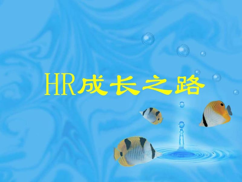 HR的成长之路图文.ppt17.ppt_第1页